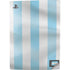 Argentina Soccer Flag PS5 Digital Edition Console Skin